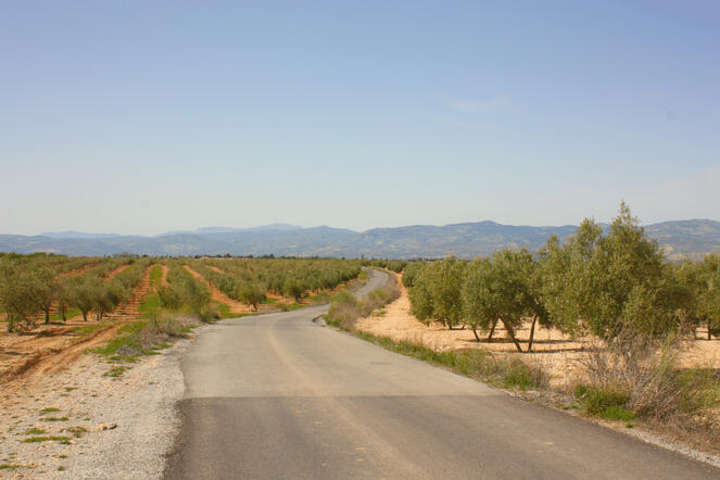 sierra dell'andalusia sierra dell'andalusia
